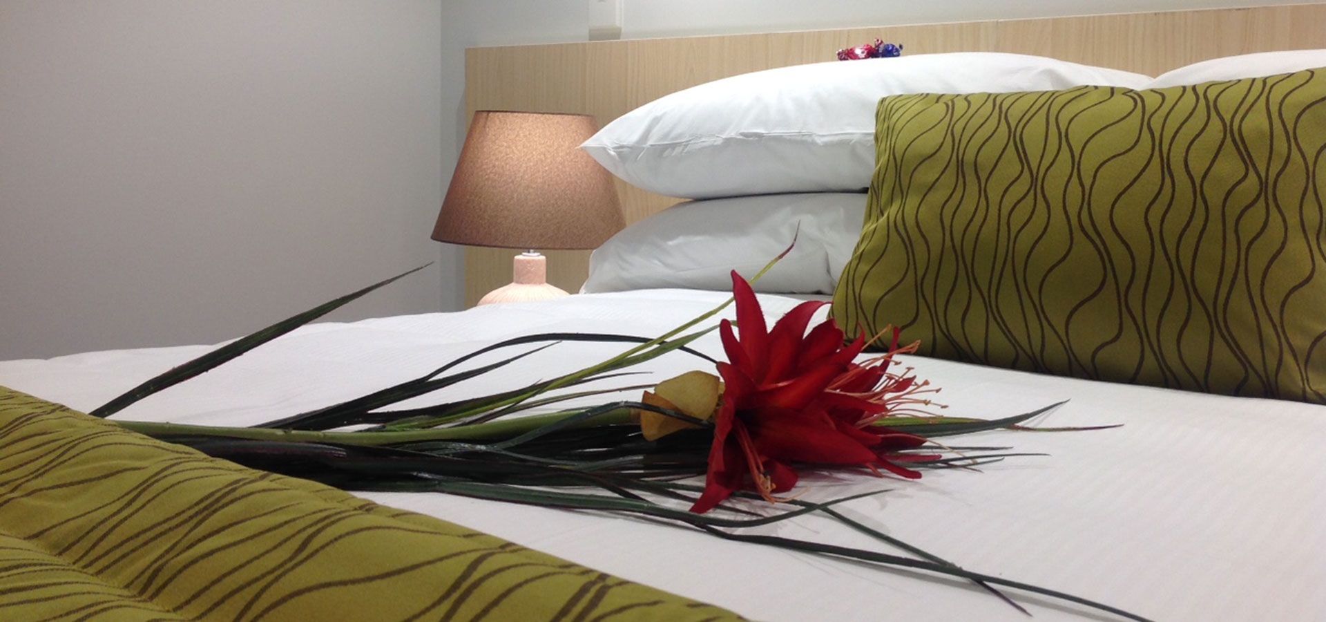 luxurious spinal beds in every room